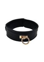 Leather Plain Collar with Gold Accessories - Black/Gold