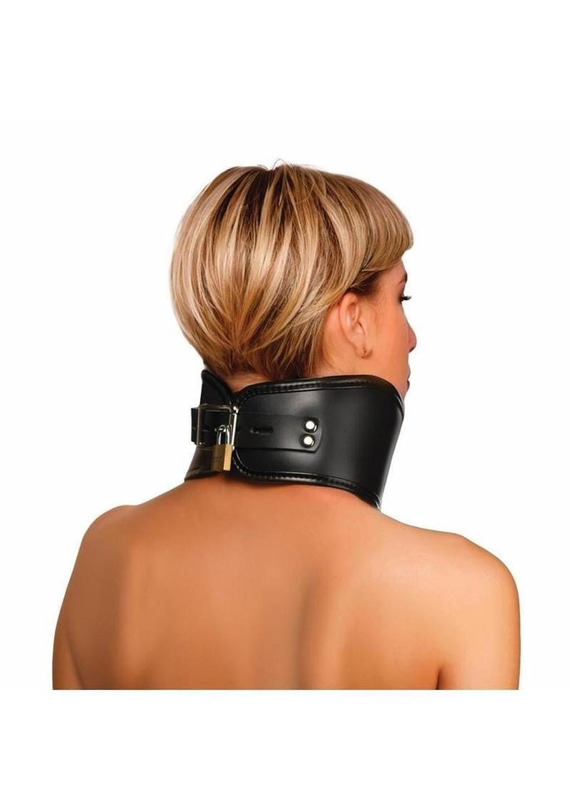 Master Series Hard Stance Padded Lock Posture Collar