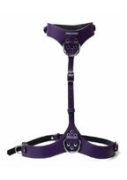 Punishment Body Harness - Silver