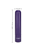 Tiny Teasers Rechargeable Bullet